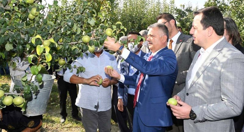 Coğrafi İşaret Tescilli Karyağdı Armudunun Hasadı 01