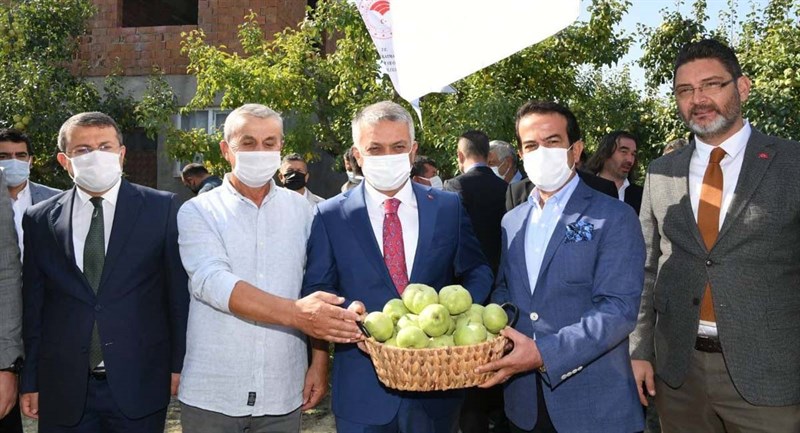 Coğrafi İşaret Tescilli Karyağdı Armudunun Hasadı 02