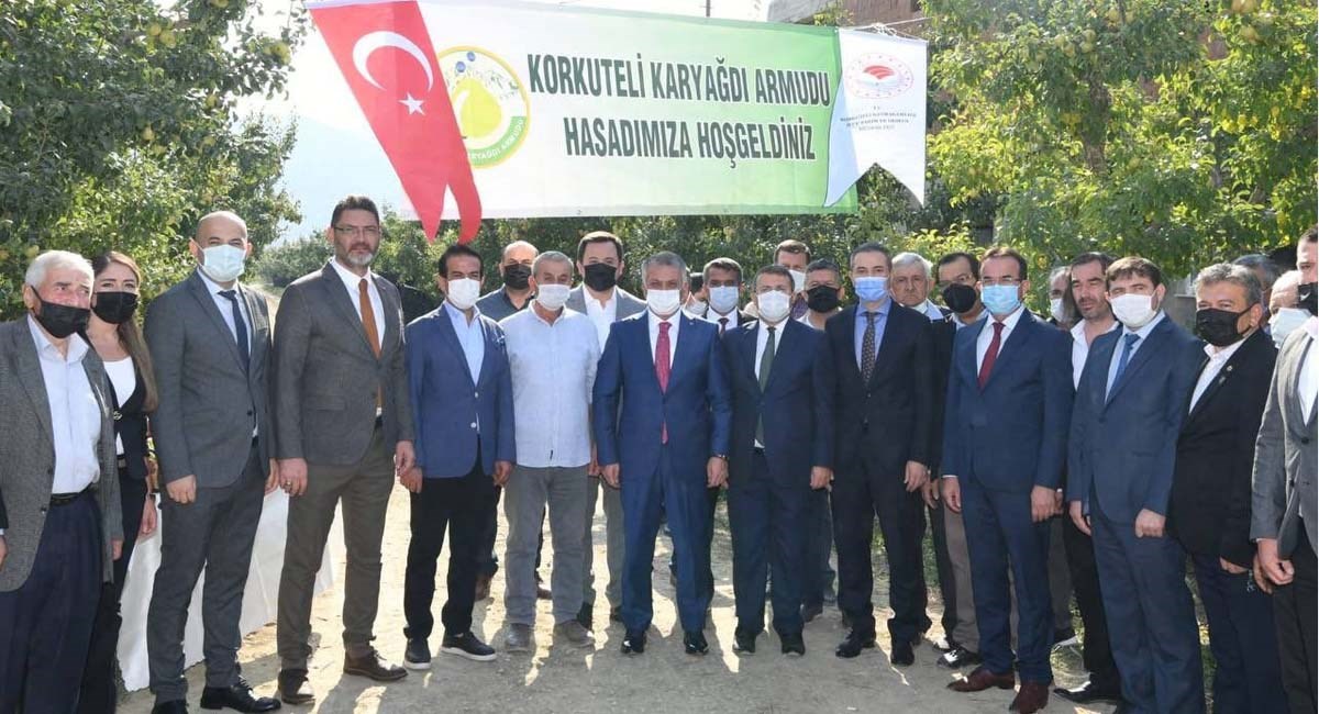 Coğrafi İşaret Tescilli Karyağdı Armudunun Hasadı 04