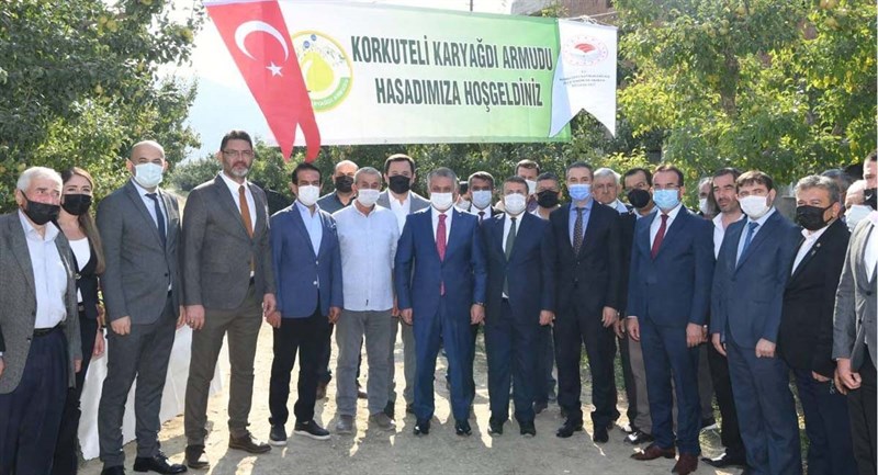 Coğrafi İşaret Tescilli Karyağdı Armudunun Hasadı 04